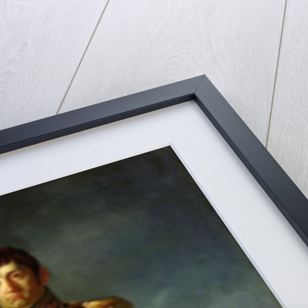 Jean-de-Dieu Soult Duke of Dalmatia, 1856 by Louis Henri de Rudder