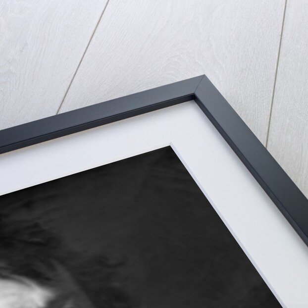 Baron Dominique Jean Larrey 1804 by Anne Louis Girodet de Roucy-Trioson