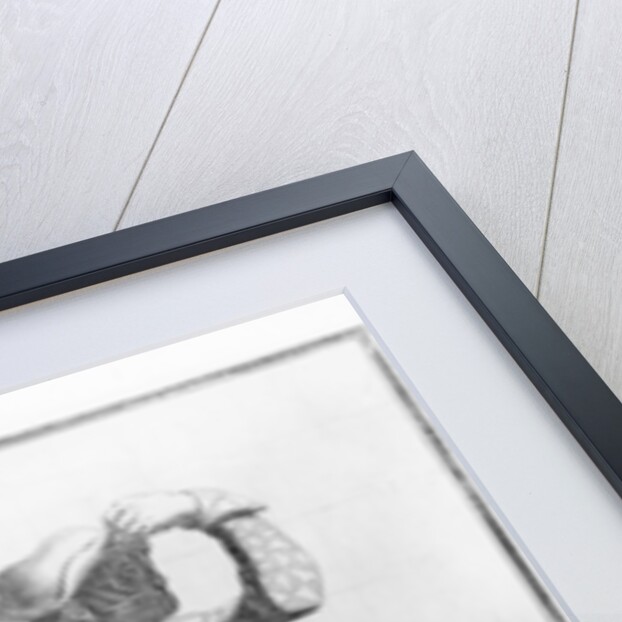 Harlequin by Antoine Le Pautre