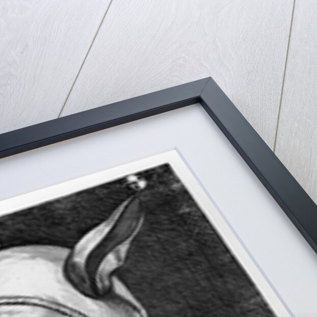 Buffoonery by French School