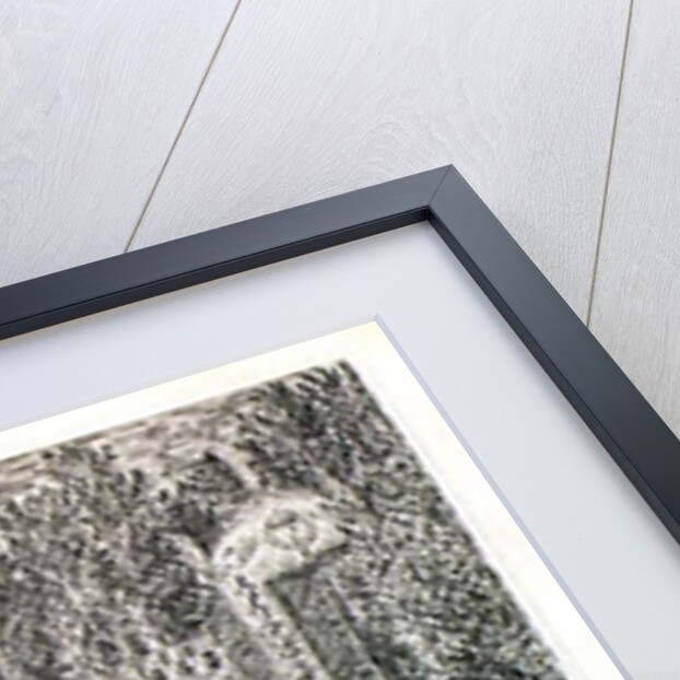 The First Day of the Festival of 'Les Plaisirs de l'Ile Enchantee', 7th May 1664 by Israel the Younger Silvestre