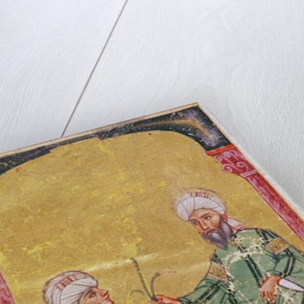 Ahmet III, 2127 Illustration from 'De Materia Medica' by Dioscorides by Mesopotamian