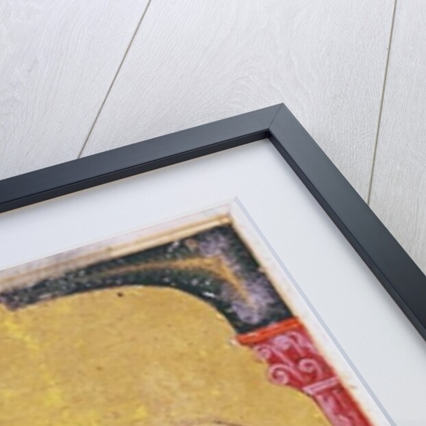 Ahmet III, 2127 Illustration from 'De Materia Medica' by Dioscorides by Mesopotamian