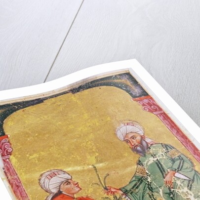 Ahmet III, 2127 Illustration from 'De Materia Medica' by Dioscorides by Mesopotamian