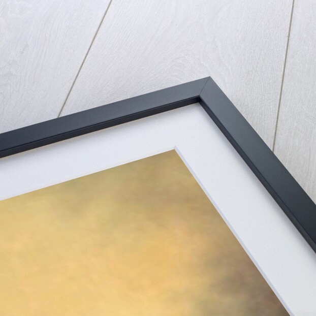 Archbishop Affre on the Barricades, 1848 by Joseph Felon