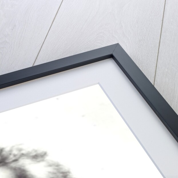 Portrait of Marshal Charles-Joseph Prince de Ligne by Henri (after) Grevedon