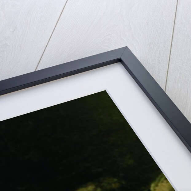 Two Old Men Eating, one of the 'Black Paintings', 1819-23 by Francisco Jose de Goya y Lucientes