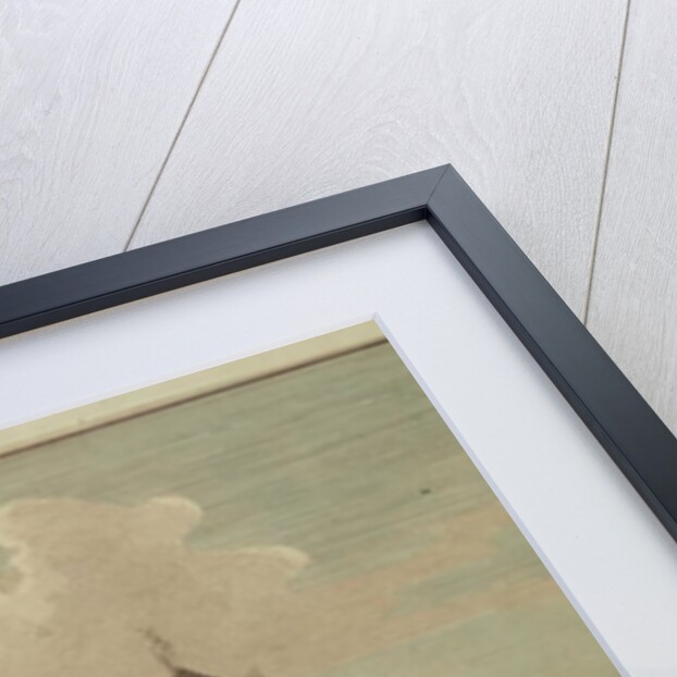 View of the Opera House in Berlin, 1773 by Johann Georg Rosenberg