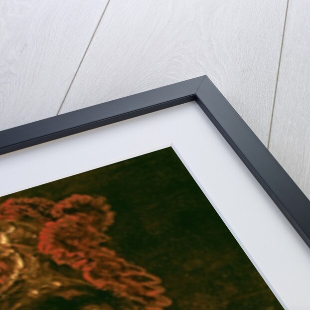 Pallas Athena or, Armoured Figure, 1664-65 by Rembrandt Harmensz. van Rijn