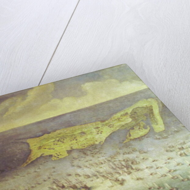 The Lifting of the Siege of the Ile de Re, 8th November 1627 by French School