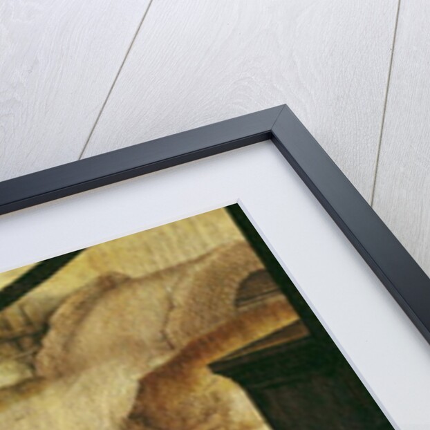 Triptych of the Adoration of the Child by Jean the Elder Bellegambe