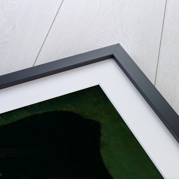 Portrait of Charles VIII King of France by Jean Bourdichon