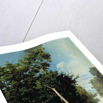 The Wood on the Cote de Grace in Honfleur by Jean Baptiste Camille Corot