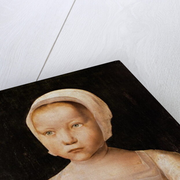 Young Girl with a Dead Bird, c.1500-25 by Flemish School