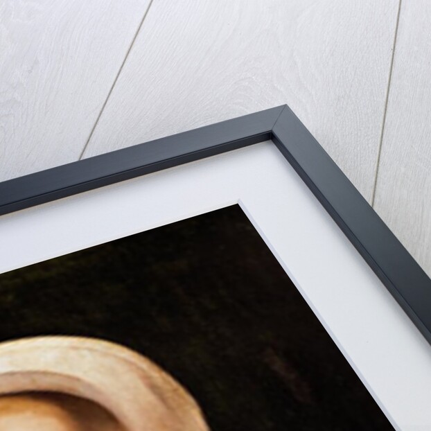 Young Girl with a Dead Bird, c.1500-25 by Flemish School