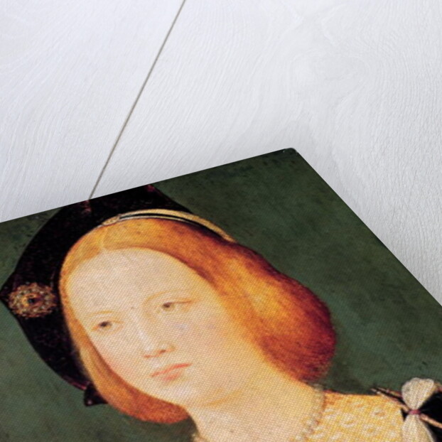 Portrait of Mary of England wife of Louis XII c.1514 by French School