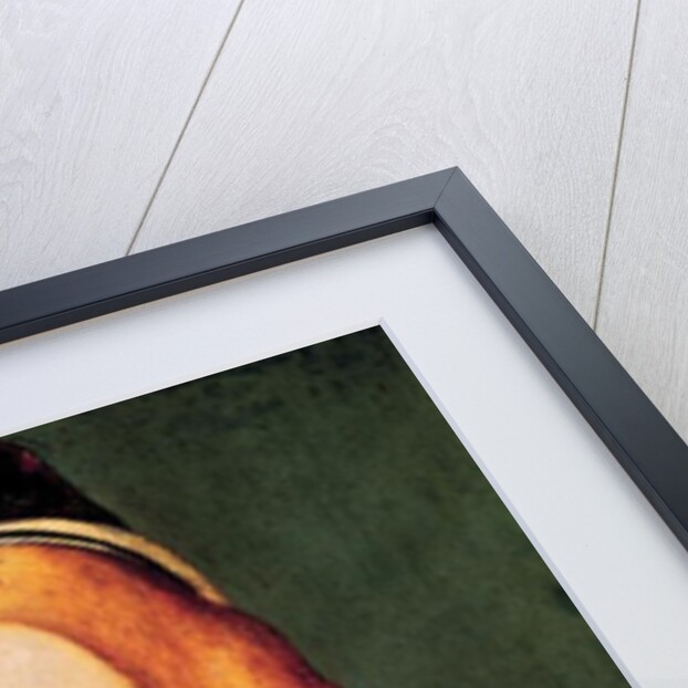 Portrait of Mary of England wife of Louis XII c.1514 by French School