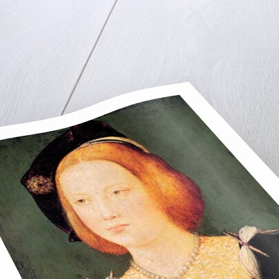 Portrait of Mary of England wife of Louis XII c.1514 by French School