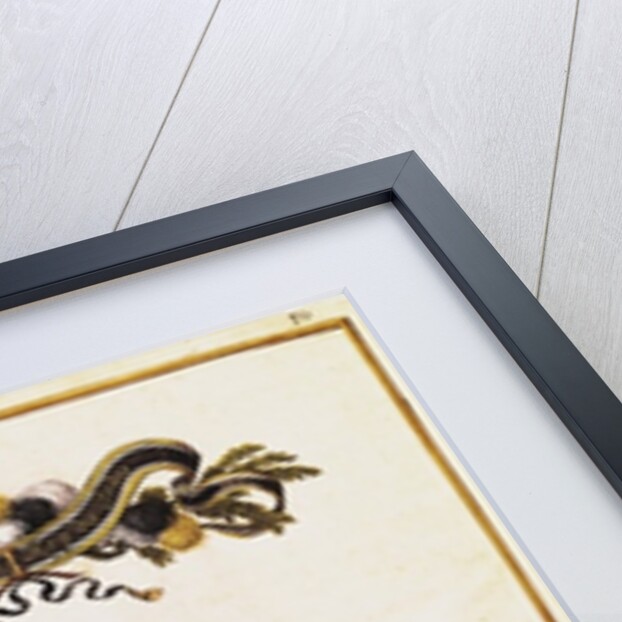 The Duke of Enghien as the King of the Indians at the Carousel Performed for Louis XIV in Front of the Tuileries, 5th June 1662 by Israel the Younger Silvestre