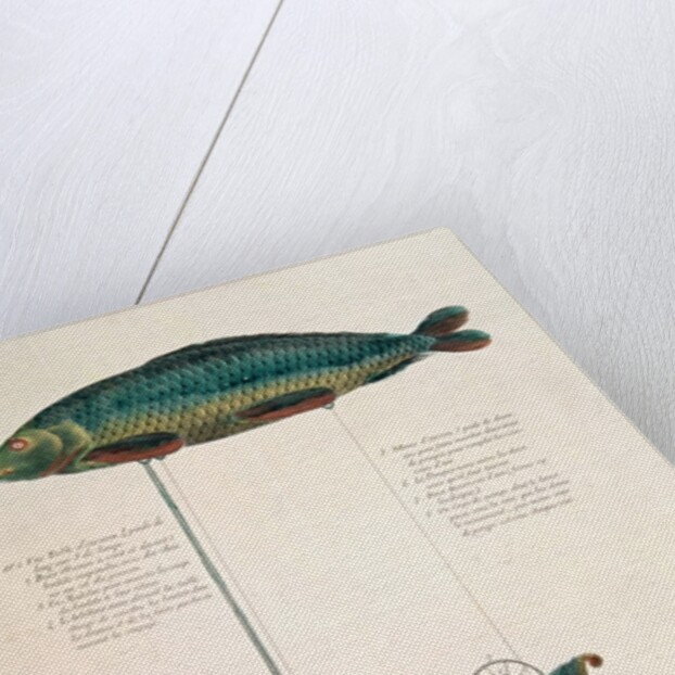 Poster advertising the subscription for a dirigible balloon in the shape of a fish by French School