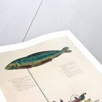 Poster advertising the subscription for a dirigible balloon in the shape of a fish by French School