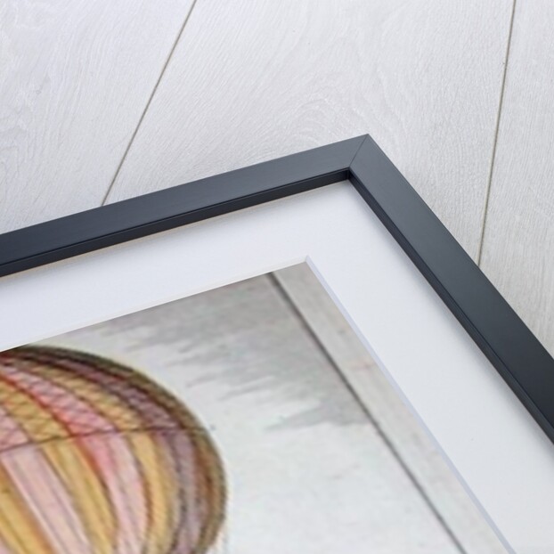 The Flight of Jacques Charles and Nicholas Robert from the Jardin des Tuileries, 1st December, 1783 by German School