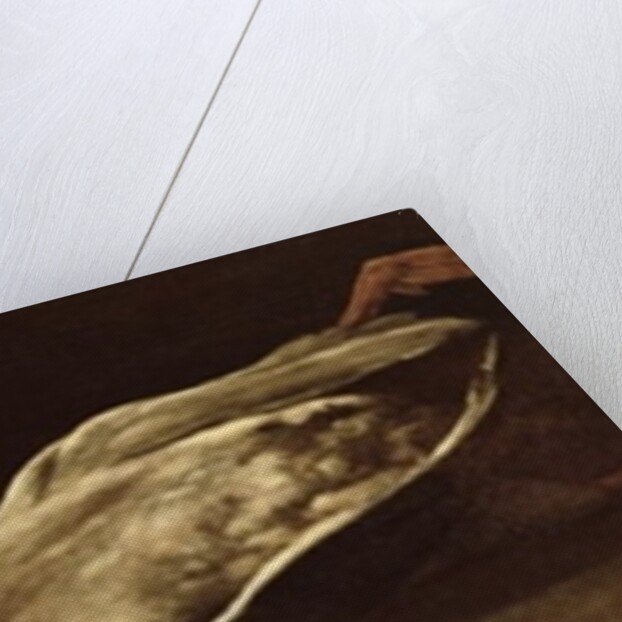 Still Life with a Duck, 1863 by Francois Bonvin