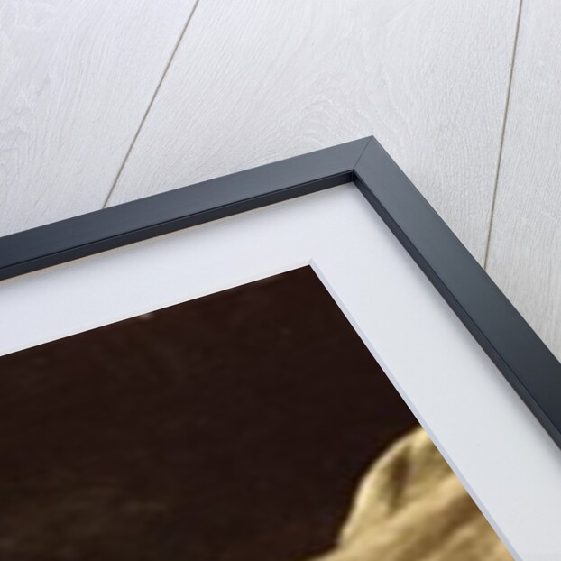 Still Life with a Duck, 1863 by Francois Bonvin