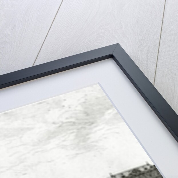 The Palais du Louvre and the Tour de Nesle by Israel the Younger Silvestre