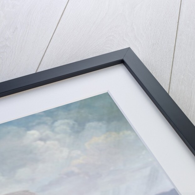 Festival of the Federation, 14th July 1790 by Jean Alexis Cornu