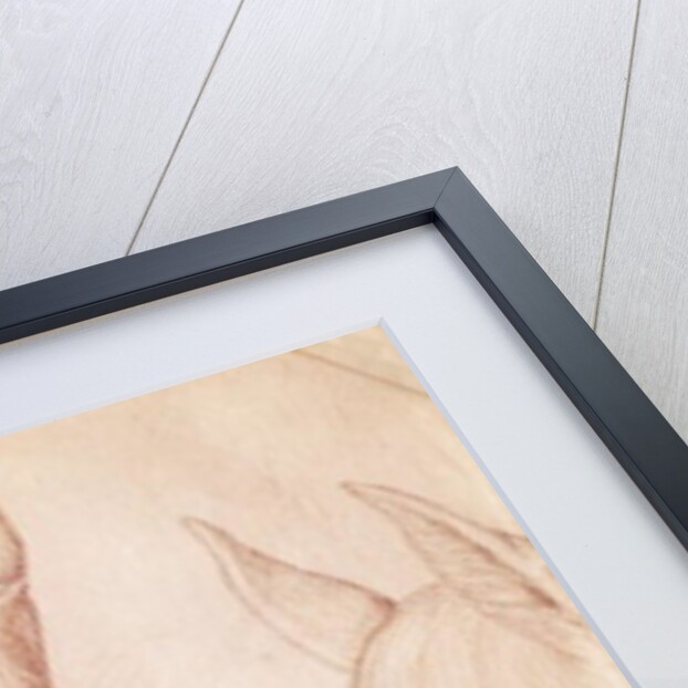 Heads of Horses by Antonio Pisanello