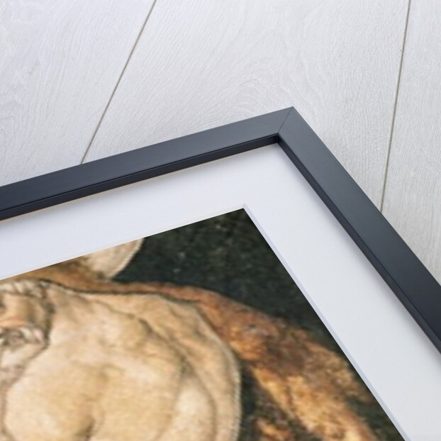 Hercules and Antaeus, c.1530 by Hans Baldung Grien