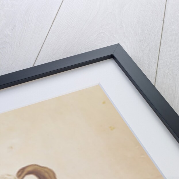 Dragoons of the French Imperial Army by French School