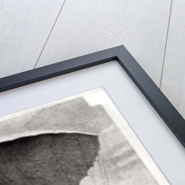 The First Parachute Descent by Andre Jacques Garnerin over Parc Monceau, 22nd October 1797 by Simon Petit