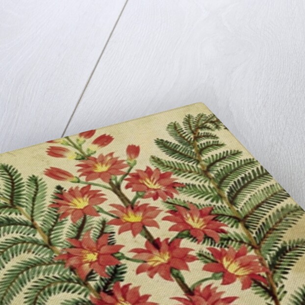 Fern with red and yellow flowers by French School