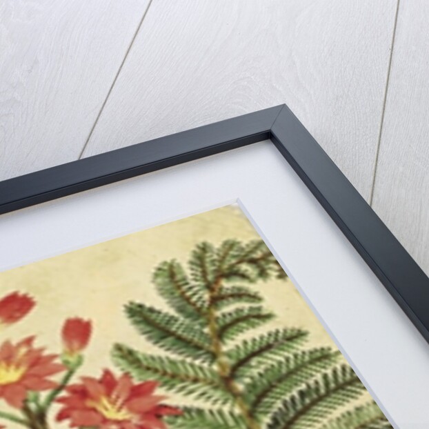 Fern with red and yellow flowers by French School