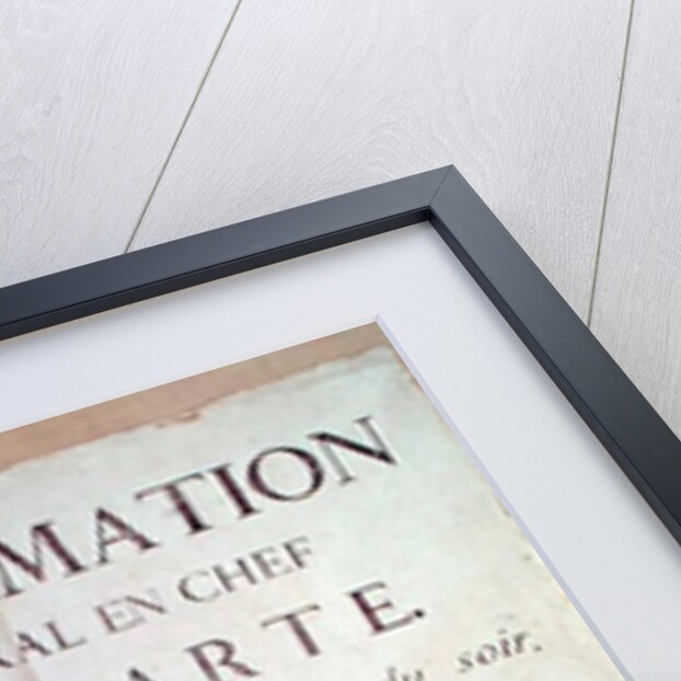 Proclamation of Napoleon I 19 Brumaire An 8 by French School