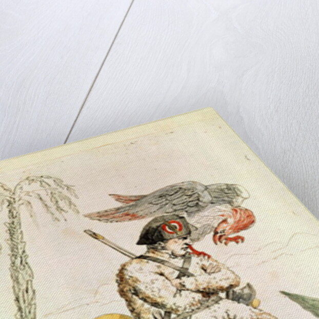 The New Robinson of St. Helena, 1815 by French School