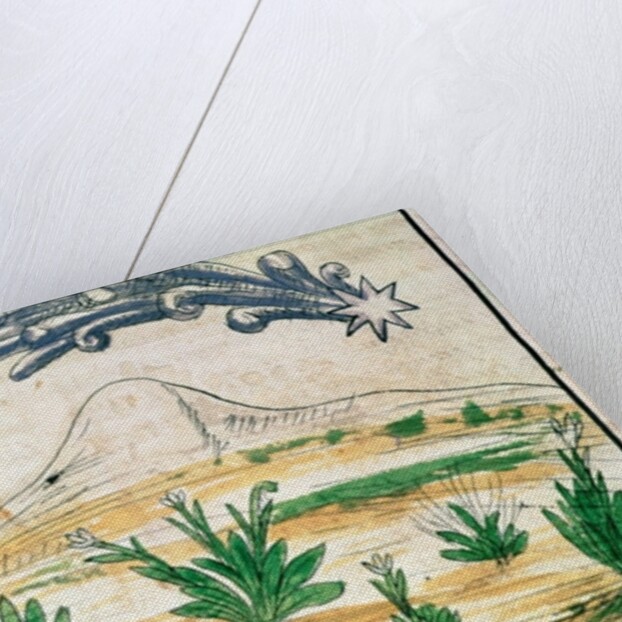 Montezuma II watching a comet, 1579 by Diego Duran