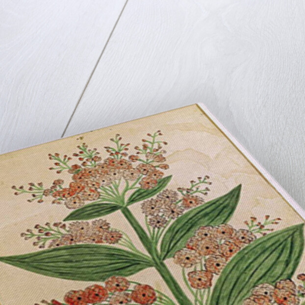 Gentian with imaginary flowers by French School