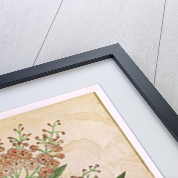 Gentian with imaginary flowers by French School