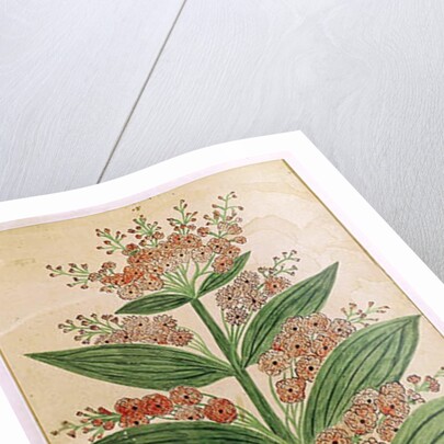 Gentian with imaginary flowers by French School