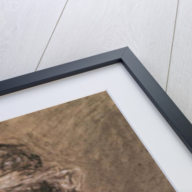 Head of the Virgin by Pierre-Paul Prud'hon