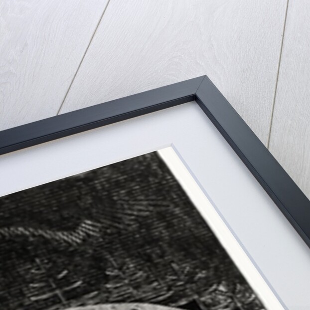 Seppo Llmarinen Ploughing the Field of Snakes by Joseph Alanen