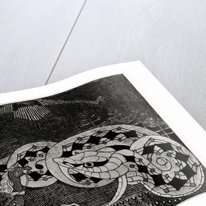 Seppo Llmarinen Ploughing the Field of Snakes by Joseph Alanen