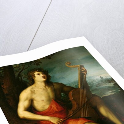 Apollo by Italian School