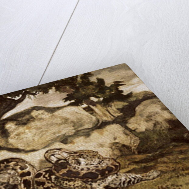 A Python Killing a Tiger by Antoine Louis Barye