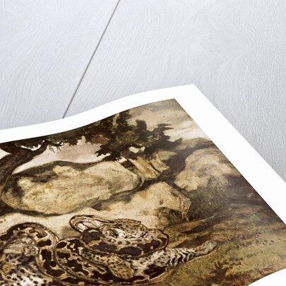 A Python Killing a Tiger by Antoine Louis Barye