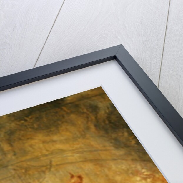 Bellerophon Riding Pegasus Fighting the Chimaera, 1635 by Peter Paul Rubens