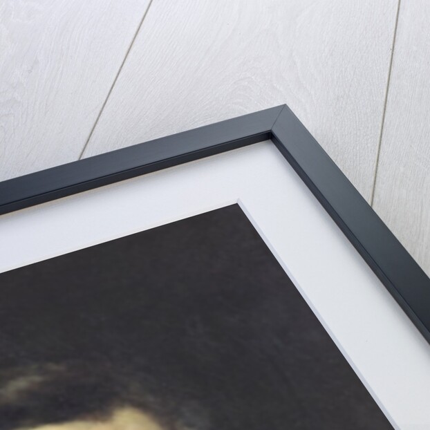 Hector Berlioz 1850 by Gustave Courbet